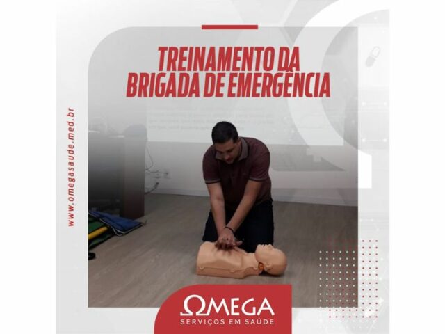 Treinamentos simultâneos da OMEGA garantem atualização no Pará e no escritório, em Campinas.