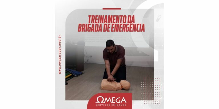 Read more about the article Treinamentos simultâneos da OMEGA garantem atualização no Pará e no escritório, em Campinas.