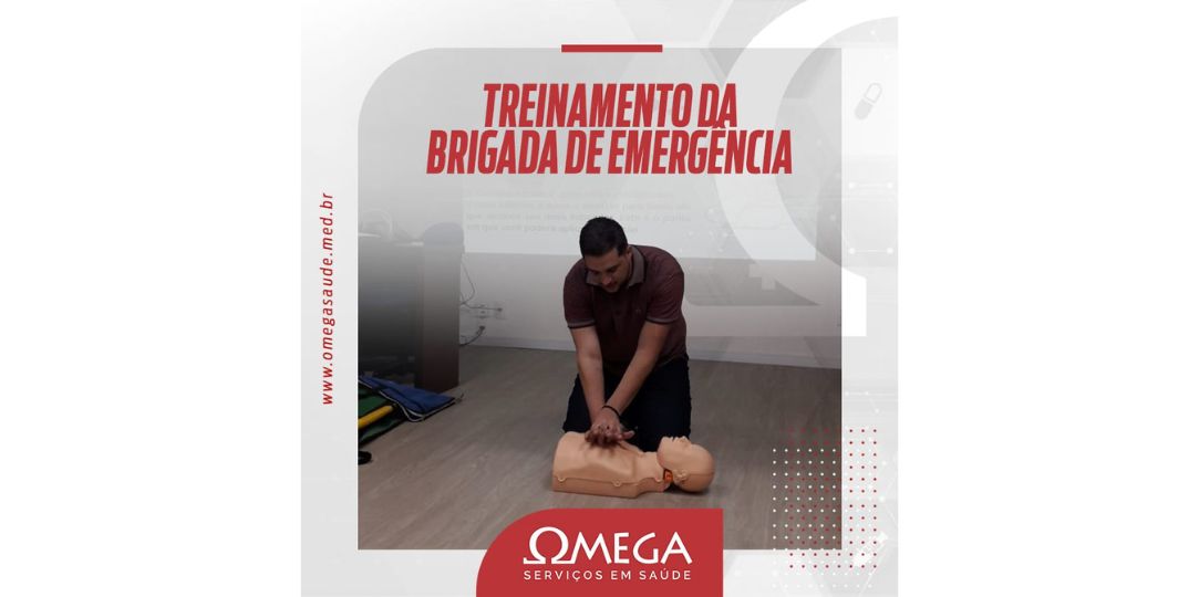 You are currently viewing Treinamentos simultâneos da OMEGA garantem atualização no Pará e no escritório, em Campinas.