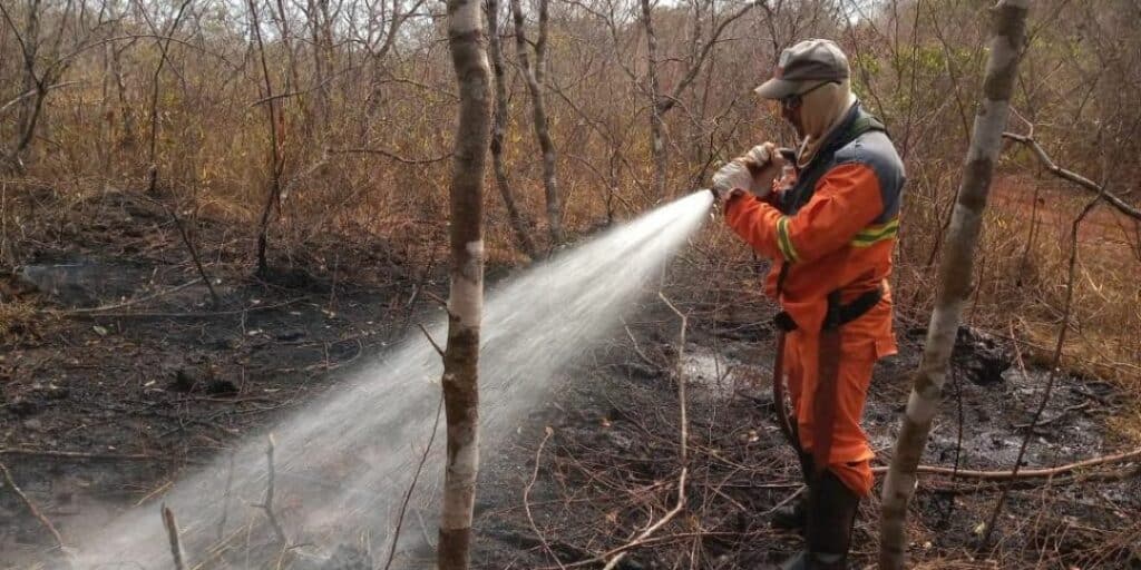 Bombeiros da OMEGA estão preparados para combater incêndios no Pará, um dos estados que mais concentram queimadas no Brasil